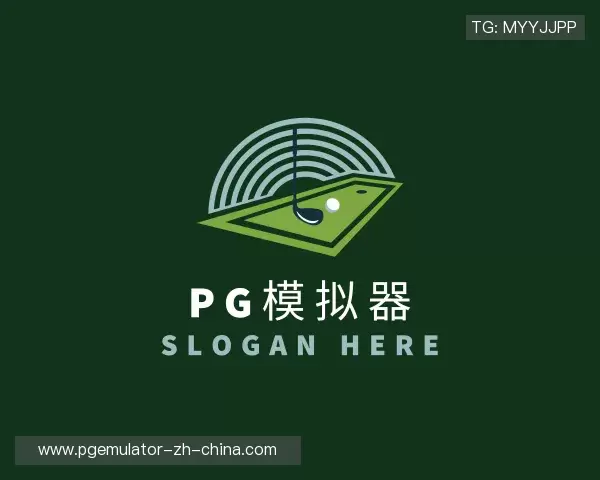 了解pg模拟器